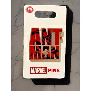 Disney Marvel ANTMAN Metal Block Disney Park Exclusive Pin